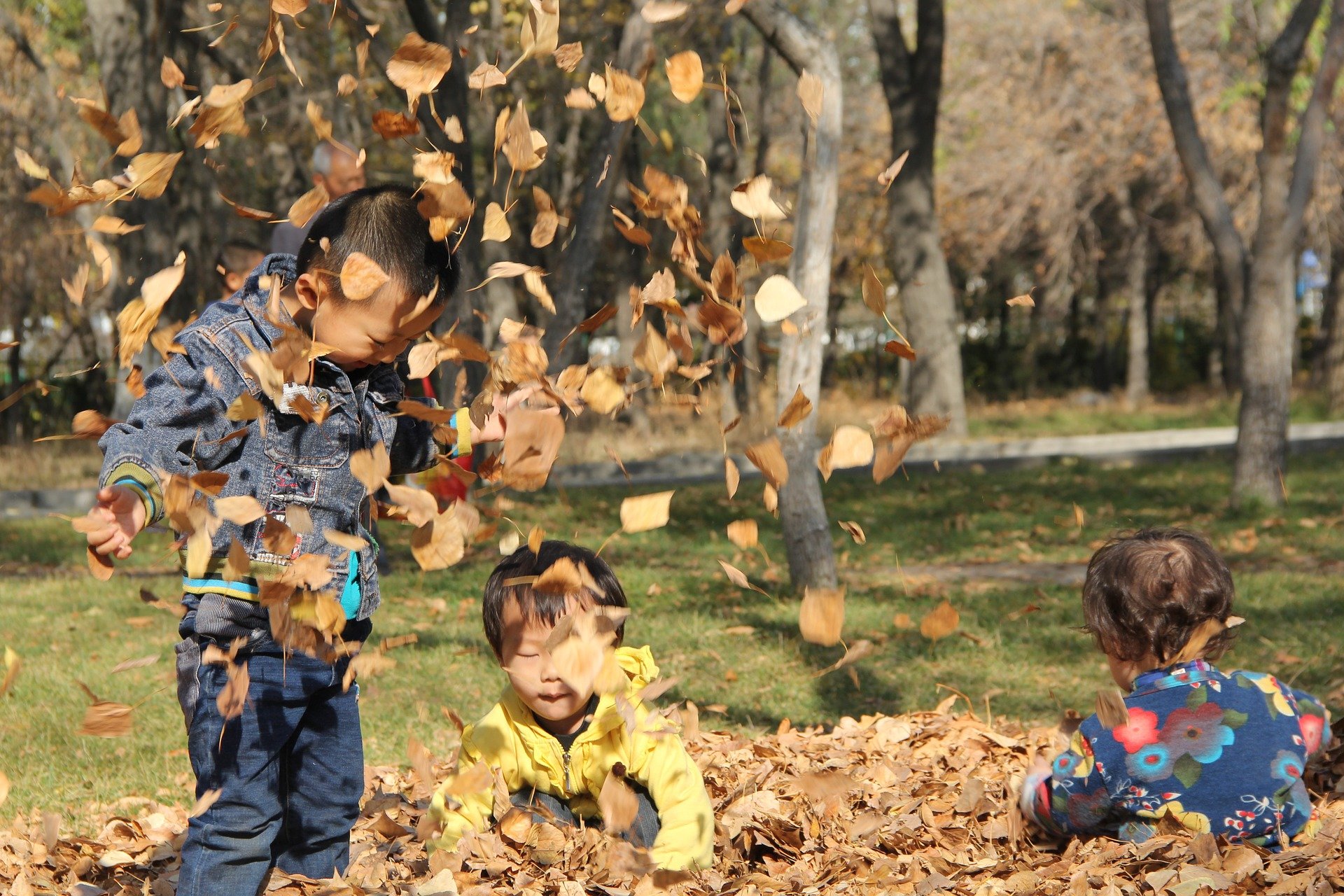 happy-718501_1920